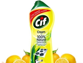 德國到廣州南沙進口油污清潔劑報關代理案例